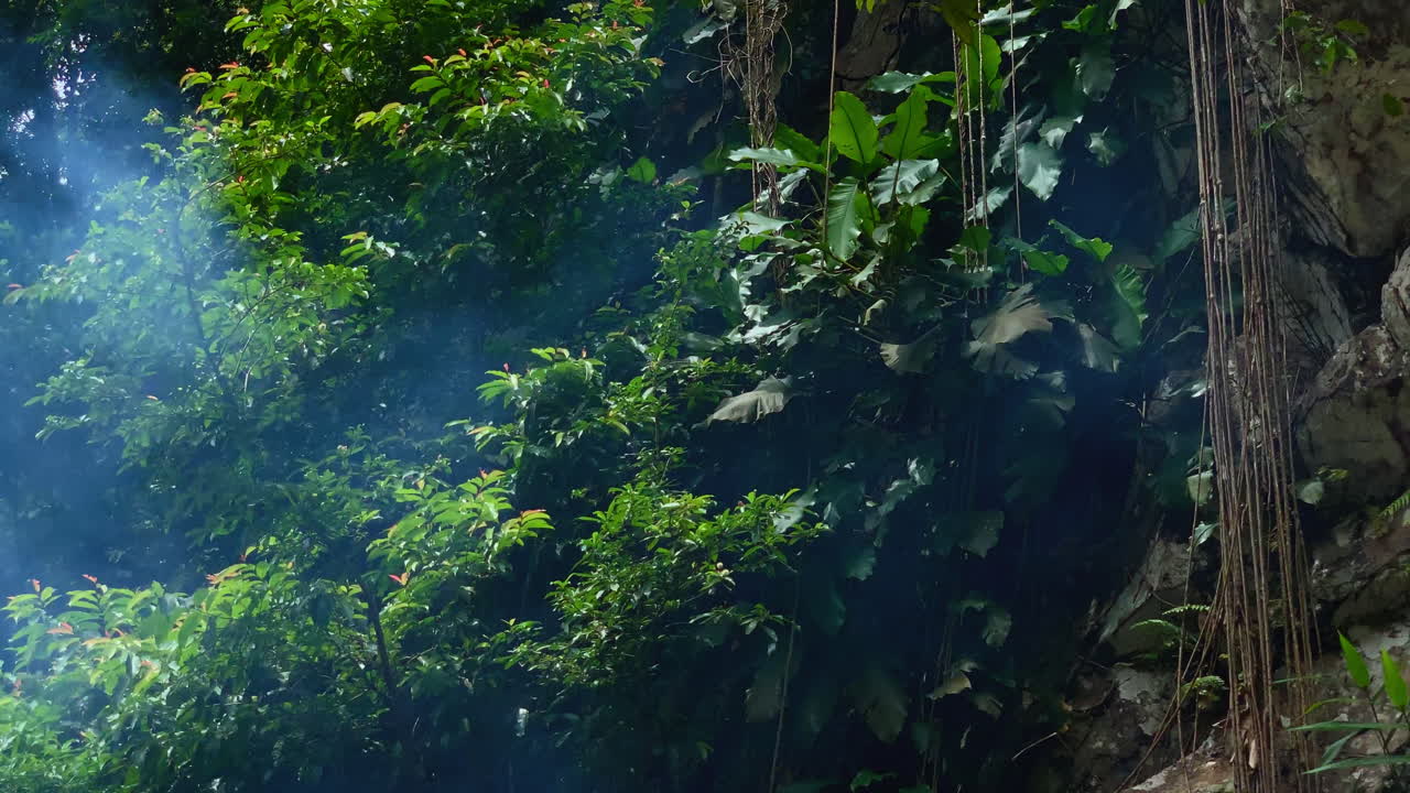 la exuberante jungla vietnamita con densos árboles, vides colgantes y humo que se eleva