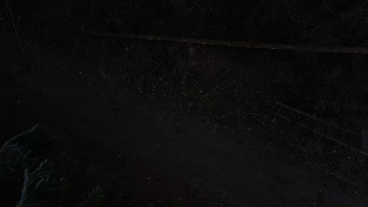 un vuelo desde el suelo a través de un camino forestal oscuro a través de árboles cubiertos de nieve durante una niebla espesa