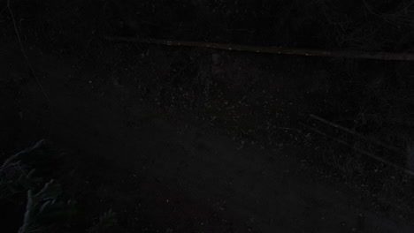 a flight from the ground through a dark forest path through snow-covered trees during a thick fog