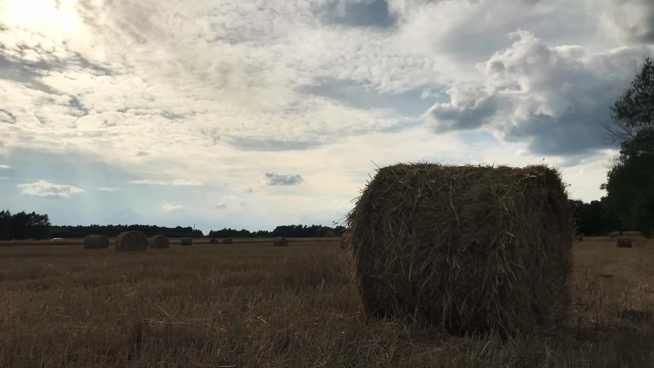 entran en el encanto rural de las balas de paja bajo los cielos de agosto