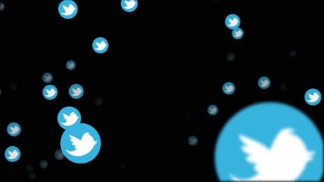 twitter bird icons animation