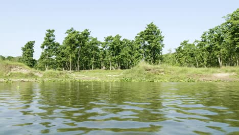 rainforest in the national park chitwan, nepal.