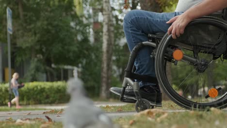 Man with disabilities in wheelchair walk at the park alley