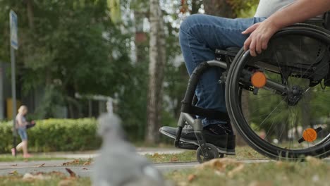 man with disabilities in wheelchair walk at the park alley