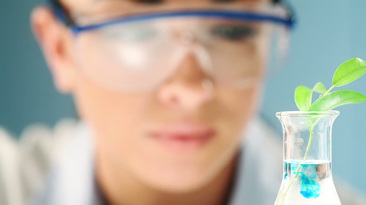 joven científico que estudia las plantas