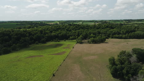 Campos-Verdes-Y-Exuberante-Vegetación-En-Oronoco,-Minnesota,-EE.UU.---Toma-Aérea