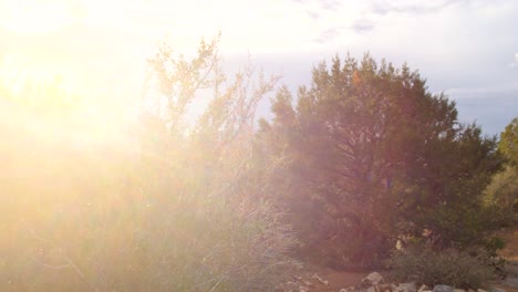 Right pan with sun flare showing flag and stone memorial for firefighters