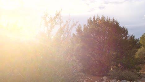 right pan with sun flare showing flag and stone memorial for firefighters