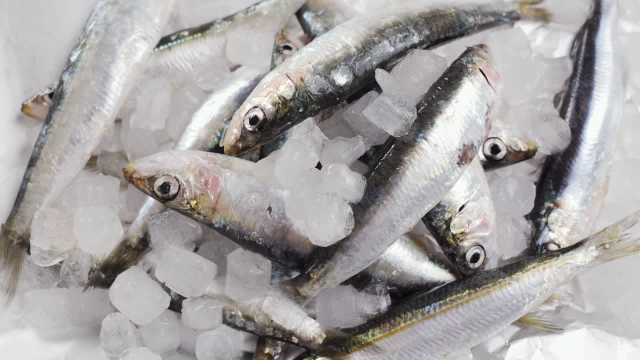 Fresh Sardines on Ice
