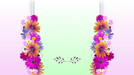 Animation-of-colourful-flowers-growing-on-frame-with-central-pale-green-copy-space,-on-pale-pink