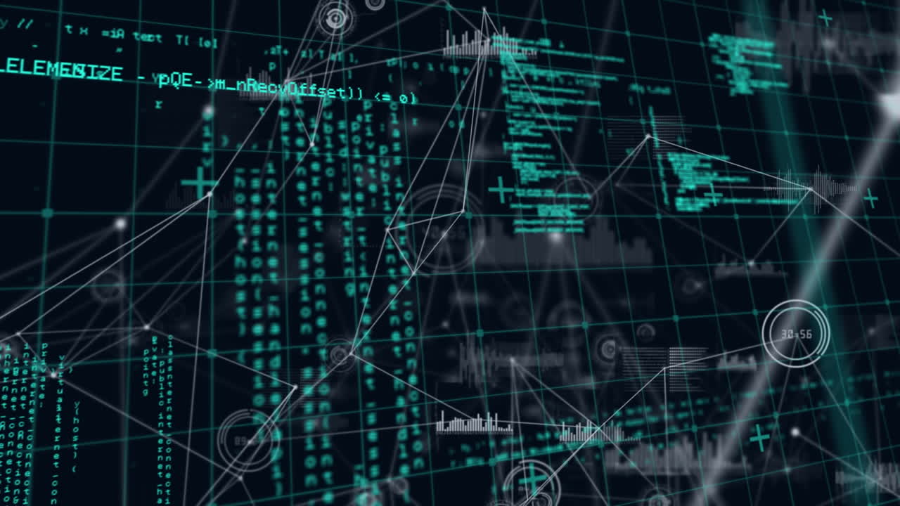 Animation of network of connections over data processing