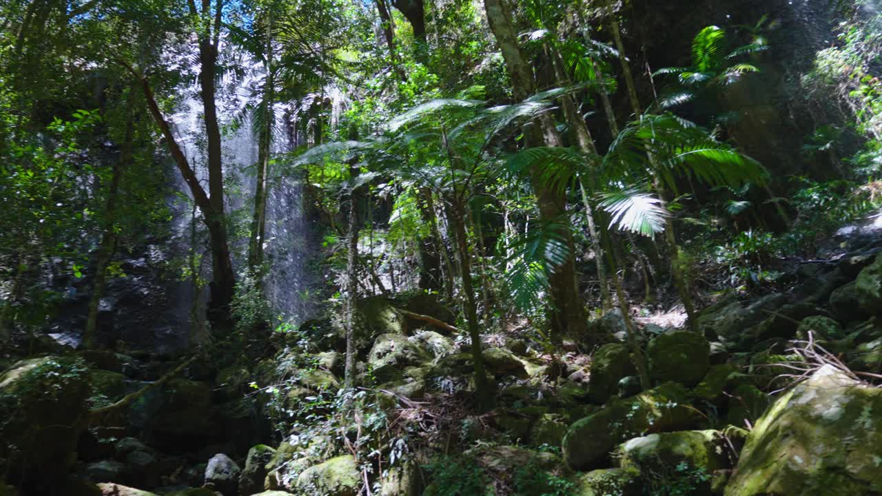 parque nacional springbrook, circuito de caída doble en medio del bosque