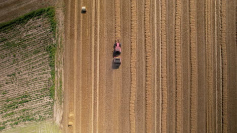 Mähdreschermaschine-Erntet-Getreide-Auf-Ackerland-In-Polen