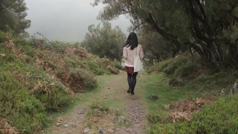 Shot-from-behind-woman-explore-Laurel-forest-on-misty-weather,-Portugal