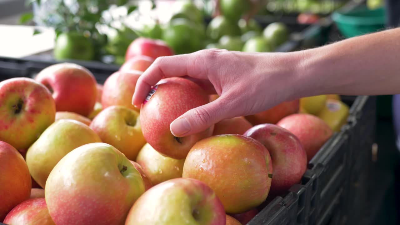 Slow motion close up of a customer using hands to grab and place juicy fresh pink apple fruit from a basket at a local farmers market food and produce festival on the Central Coast Australian tourism
