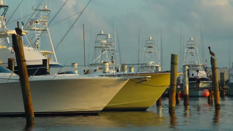 isla mujeres boats 02