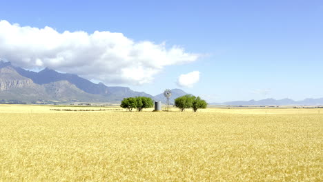 The-corn-industry-is-on-the-grow