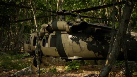 Military-helicopter-in-deep-jungle