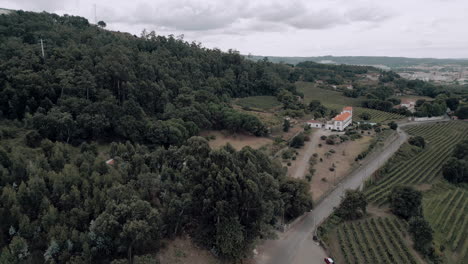 Aerial-view-of-house-amidst-lush-vineyards