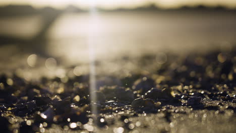 Wide-slider-shot-of-shell-in-the-sand-on-the-beach