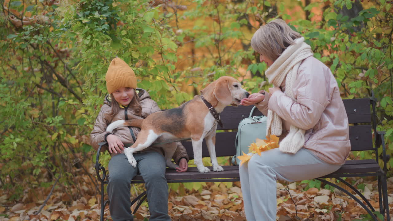 mother and daughter seated on park bench surrounded by fallen autumn leaves engaging and petting curious beagle climbing onto lap, sharing playful autumn bonding moment