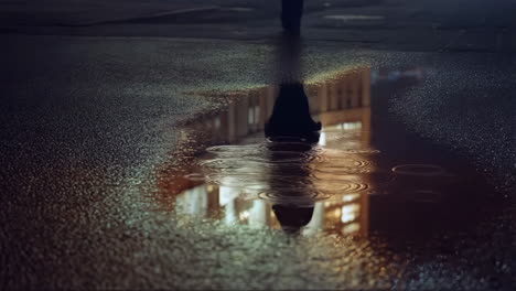puddle reflection at night