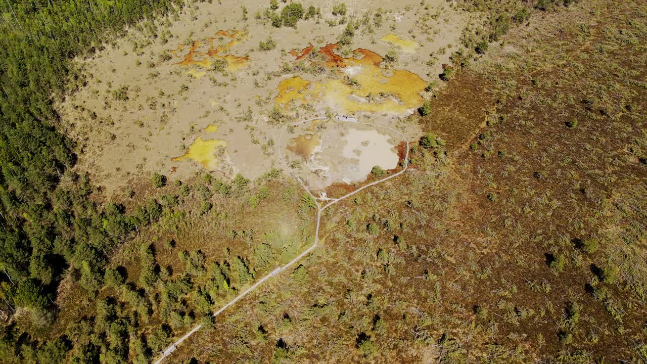 Elevated aerial showing intersecting path, Ķemeri wild bog landscape, Latvia