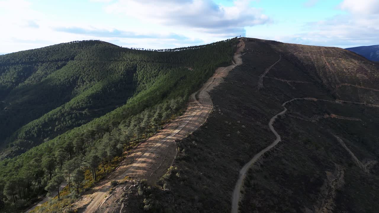 Vista panoramica con drone di terreno forestale montuoso con una linea tagliafuoco visibile che attraversa il fianco della collina in Estremadura, Spagna. Concetto di prevenzione degli incendi boschivi e gestione del territorio rurale.