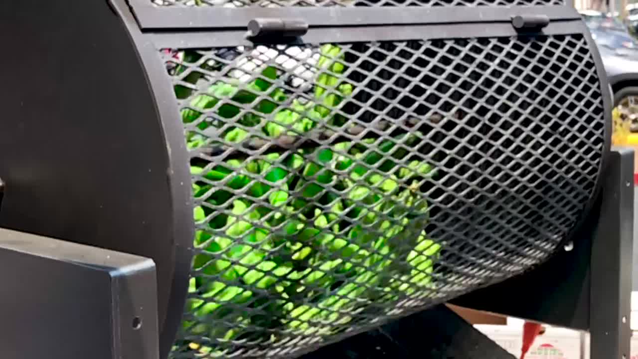 toma apretada en cámara lenta del racimo de jalapeños asado afuera durante un evento de comida local