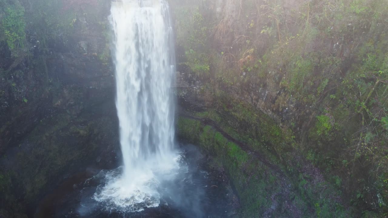 toma aérea en retirada de cascada con camino y troncos picados - clip de drone 4k
