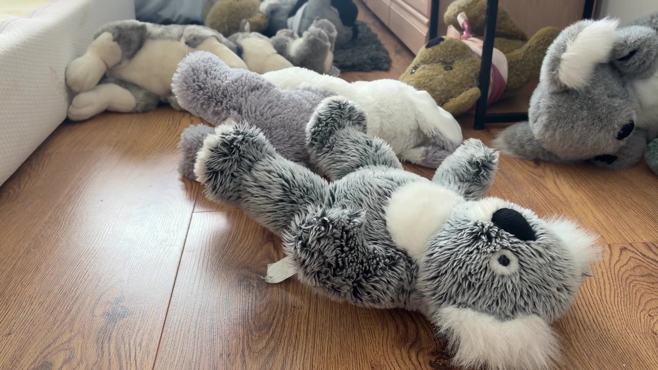 Stuffed Animal Toys Lying on Wooden Floor in Children’s Playroom