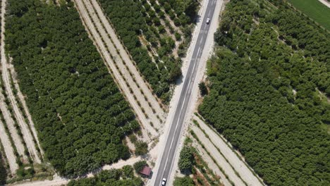 Grüne-Autobahn-Zwischen-Garten