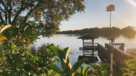 lake sunset with gazebo and birdhouse