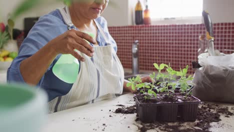 Mujer-Birracial-De-Alto-Rango-Con-Delantal-Y-Jardinería-Sola-En-La-Cocina