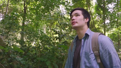 asian man walking and looking around in tropical forest, slow motion