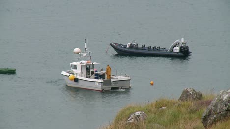 a small, open-top motorboat fishing vessel drives into position before raising its creels