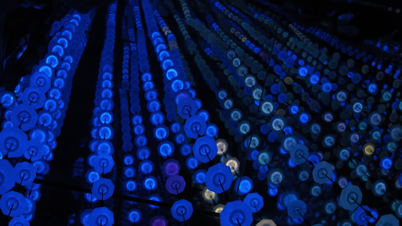 다채로운 조명 설치 예술