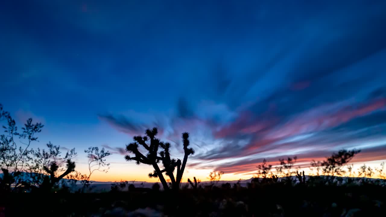 del atardecer a la noche de la vía láctea lapso de tiempo con un árbol de josué en primer plano
