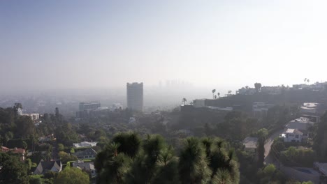 Tiro-Aéreo-Ascendente-Sobre-Un-árbol-Para-Revelar-El-Horizonte-De-La-Ciudad-Del-Siglo-Envuelto-En-Neblina