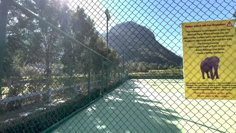 tennis court with a cautionary elephant sign