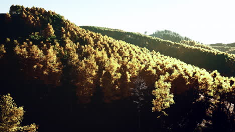 Gama-De-Montañas-Coloridas-En-La-Temporada-De-Otoño-Con-Follaje-Rojo-Naranja-Y-Dorado