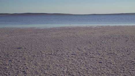 pink salt lake on a sunny summer day