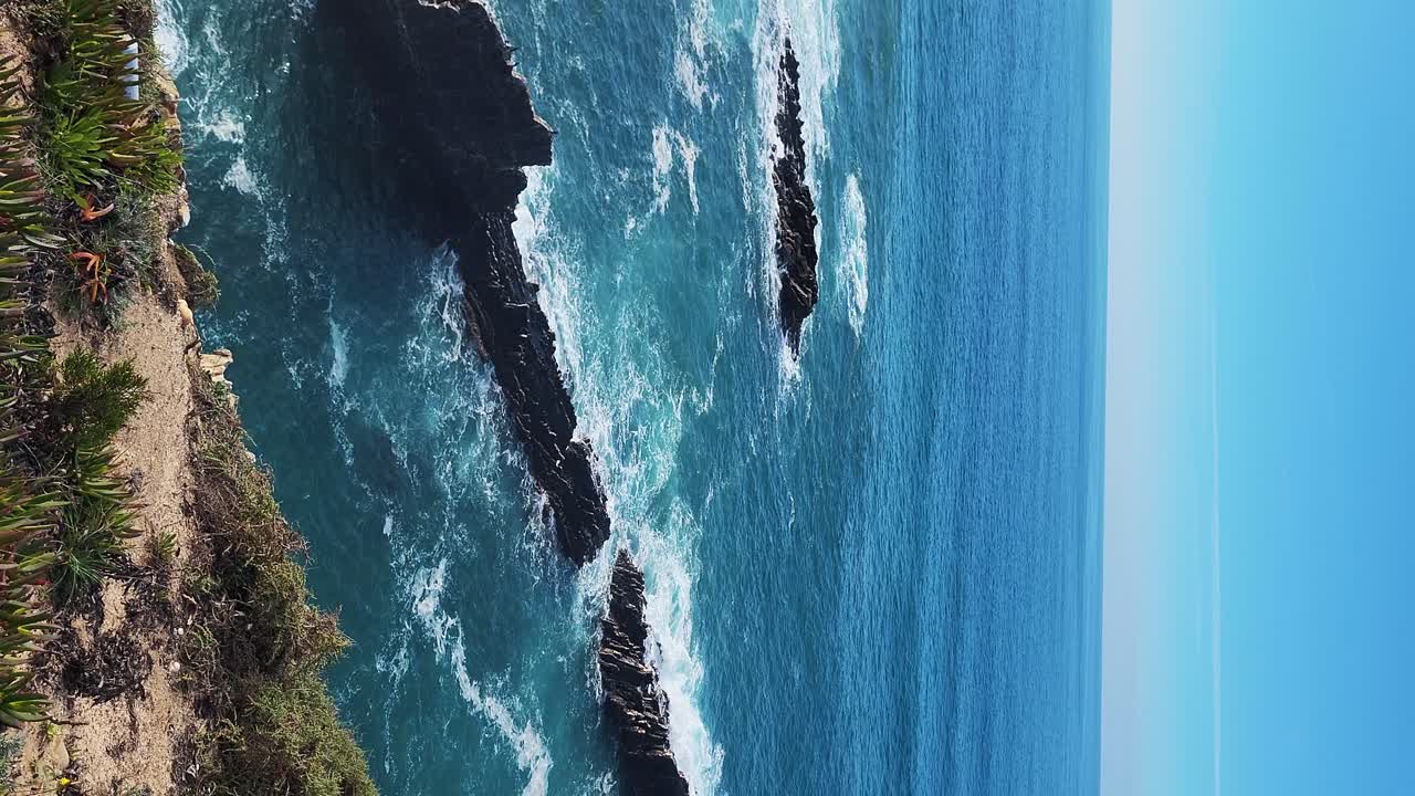 Zambujeira do Mar sulla costa con onde oceaniche, scogliere e dune di sabbia ricoperte da vegetazione verde e foglie rosse di fico degli Ottentotti, in una giornata di sole con cielo azzurro limpido
