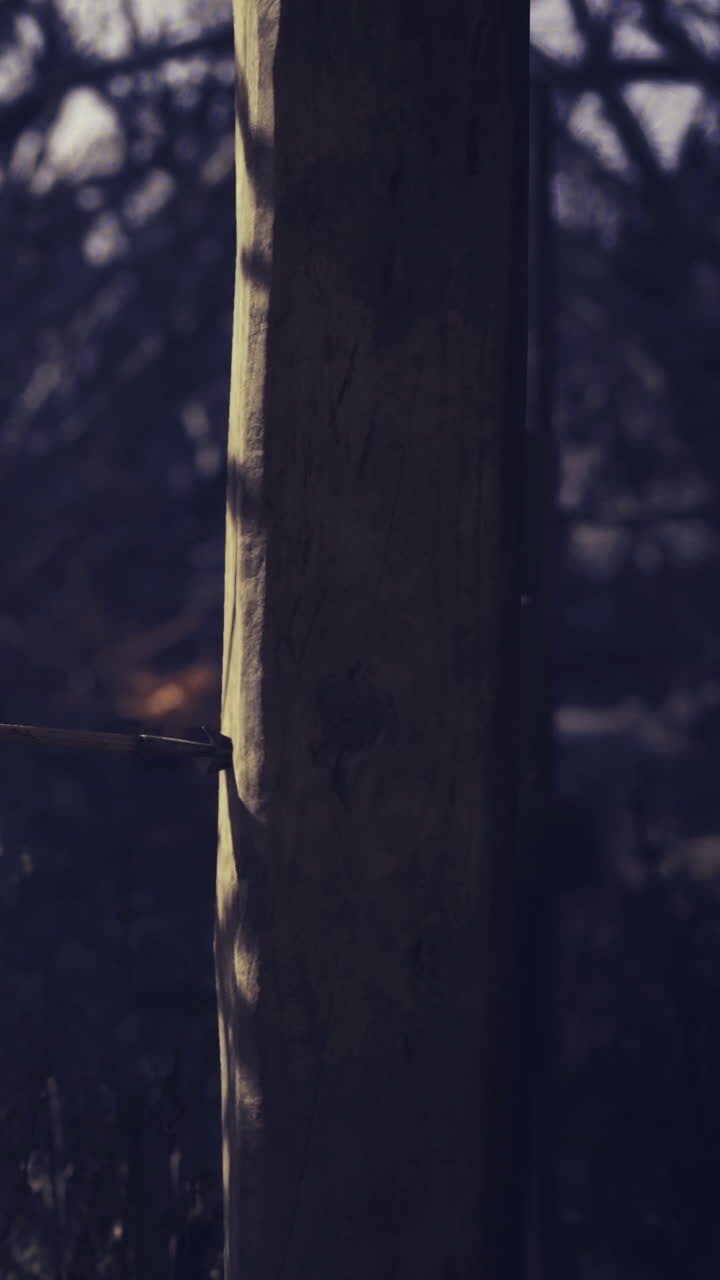 Mysterious shadows dance around wooden beams in quiet evening light