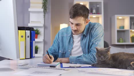 the cat is looking at its owner, watching.
