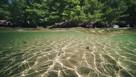 over and under water split view