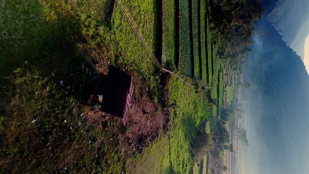 los cultivos agrícolas fértiles en el valle drone volar a través, con luz mística
