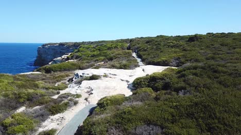 el famoso paseo costero real en el parque nacional real de sydney