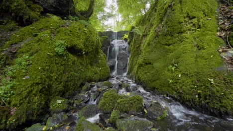 tranquil forest waterfall