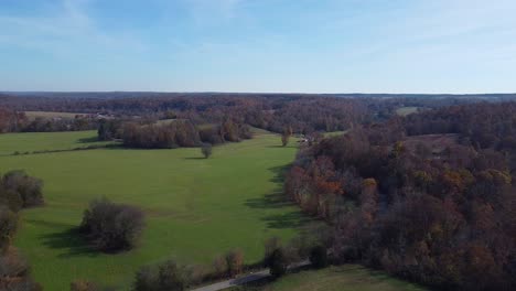 baumwipfel und landwirtschaftliche felder - malerische natur im frühherbst - drohnenaufnahme aus der luft